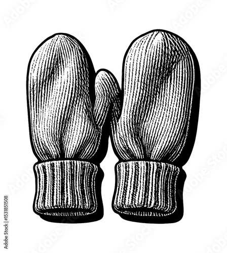 Engraved illustration of a pair of mittens with ribbed cuffs and shadow