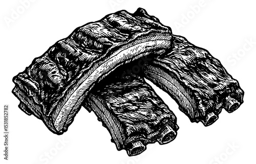 Engraved illustration of three pieces of ribs on white background.