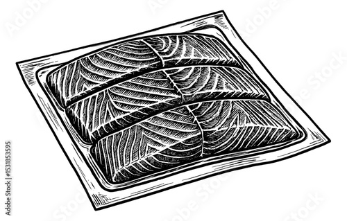 Three Salmon Fillets in a Plastic Tray, Black and White Engraved Style Close Up
