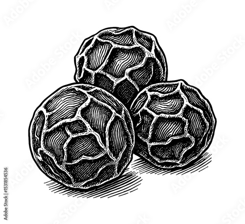 Detailed Engraving of Three Black Peppercorns with Intricate Textures and Shadows
