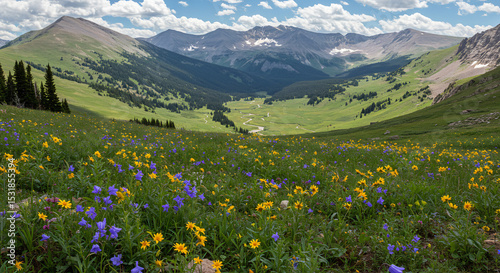 Alpine Meadow and Mountain Lakes Under Clear Blue Sky in the Colorado Rockies During Summer