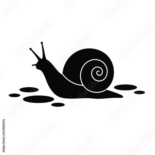 Snail silhouette crawling slowly on wet ground
