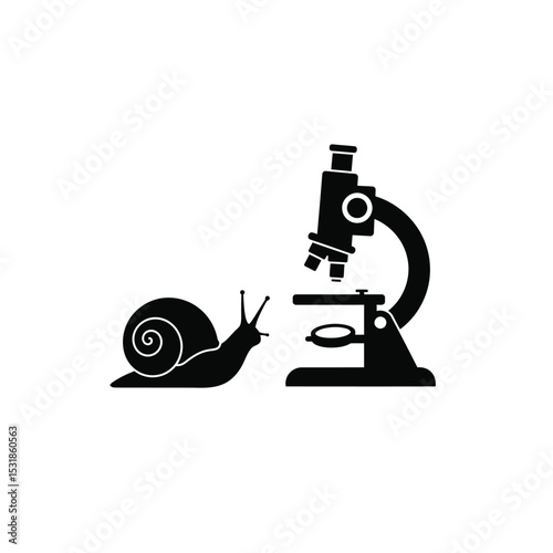 Snail under microscope scientific research study
