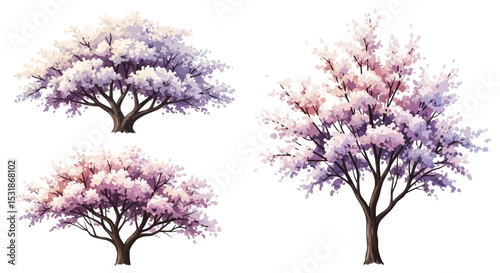 Collection of Blooming Cherry Blossom Trees Digital Illustrations