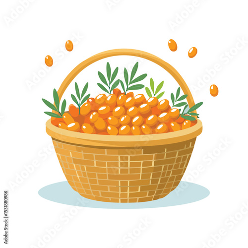Sea Buckthorn in a basket Flat Vector Art with Clean Design and Minimal Detailing