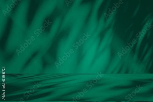 Wall interior background, studio and backdrops show products. with leaf shadow from window color green and white. background for text insertion and presentation of product	
