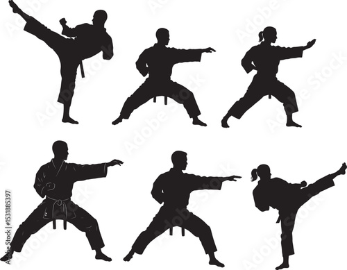 Karate action silhouette vector illustration