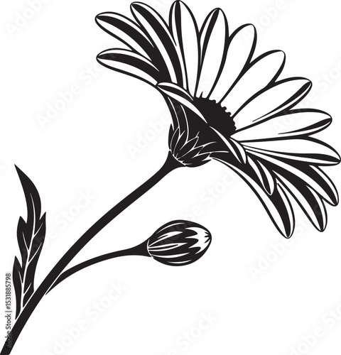 black and white flower
