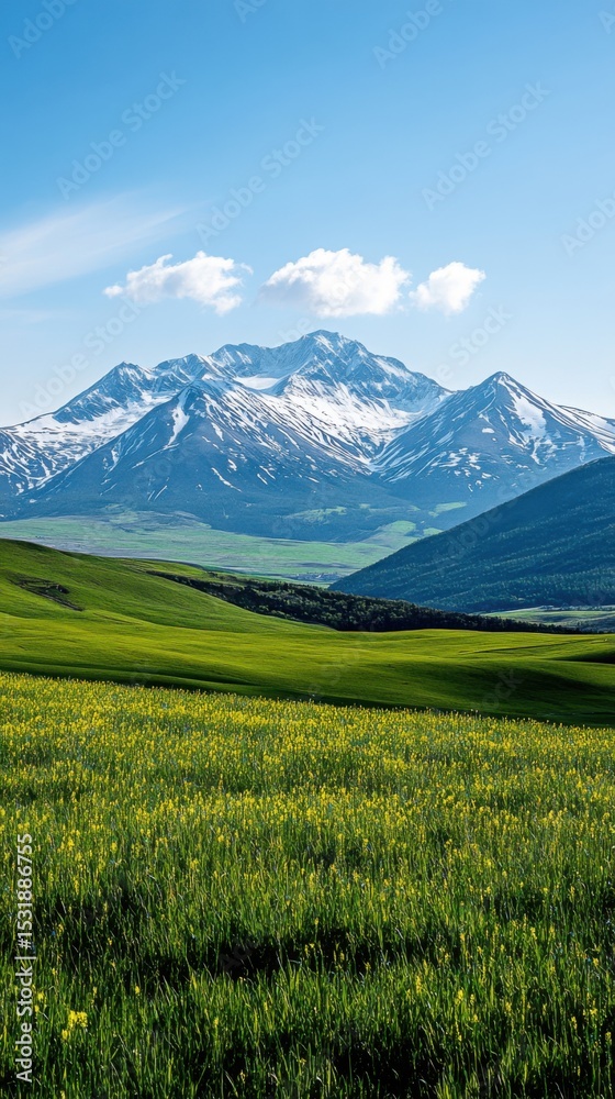 Fototapeta premium Spring Alpine Splendor: Green Meadows, Snowy Peaks and Azure Sky in High - Res, Natural - Light Panorama