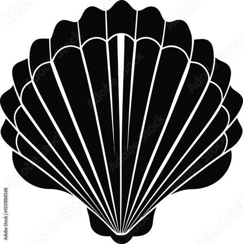 seashell-set-silhouette-illustration-isolated-on-w (3).eps