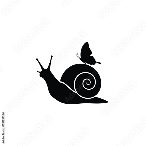 Snail shell butterfly nature wildlife insect