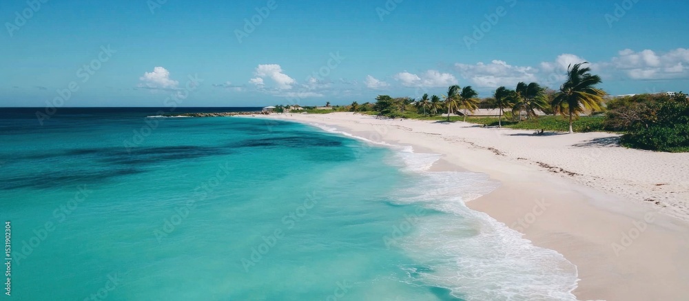 Obraz premium A pristine beach with turquoise waters, palm trees swaying in the breeze, and clear blue skies stretching over a distant horizon.