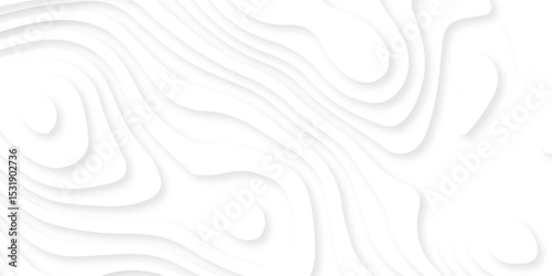 abstract white papercut digital web spiral cover element geometric smooth glow victor cover and template texture design.	