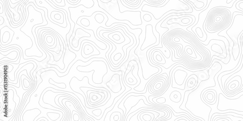 The patter discovery vector topo map creative discovery White wave grid stripe line map topography. vector geographic contour mounted map background.	