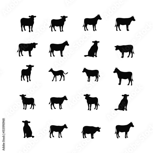 Collection of cow silhouettes various poses farm animals