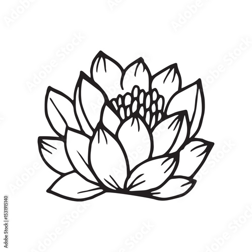 Lotus Flower Bold Lines
