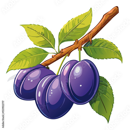 Plums on a branch vector color illustration. Image of ripe fruits on a branch on an isolated background. For design and packaging