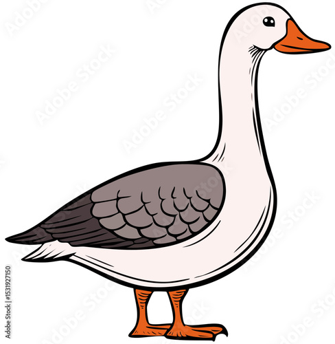 Cute Grey and White Duck Drawing