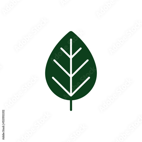 Isolated Dark Green Leaf Icon with Veins and Stem on White Background