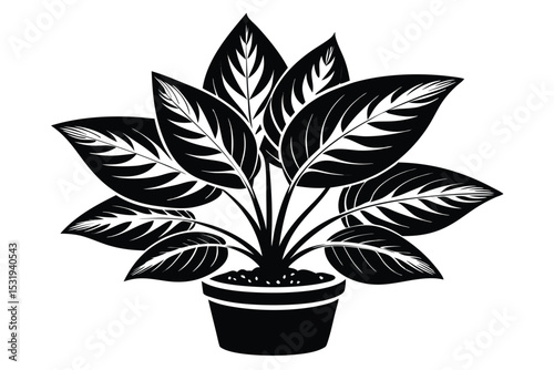 Elegant Black and White Illustration of a Potted Houseplant