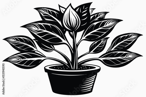 Elegant Black and White Illustration of a Potted Plant
