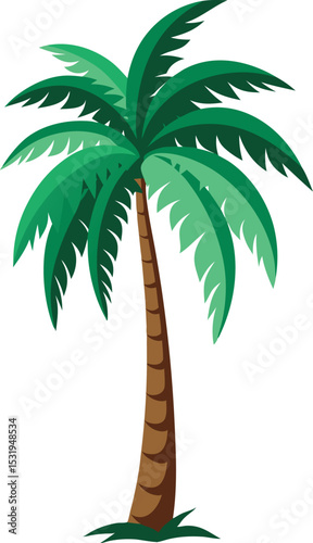 Areca Palm Tree Tropical Vector.