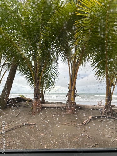 Fototapeta Naklejka Na Ścianę i Meble -  palm tree on the beach. The photo captures a serene beach scene under moody skies. Four palm trees stand tall in a staggered line near the shoreline, their fronds gently swaying in the breeze.