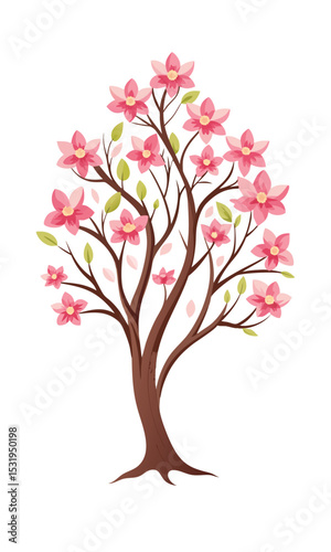Dogwood Tree Pink Blossoms Illustration.