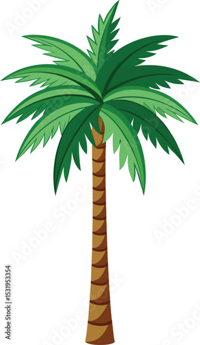 Royal Palm Tree with Slender Trunk Vector.