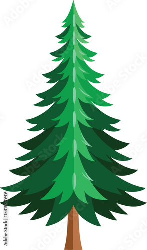 Symmetrical Balsam Fir Tree Design.