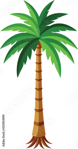 Tropical Palm Illustration with transparent.