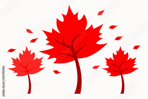 Three red maple trees with falling leaves