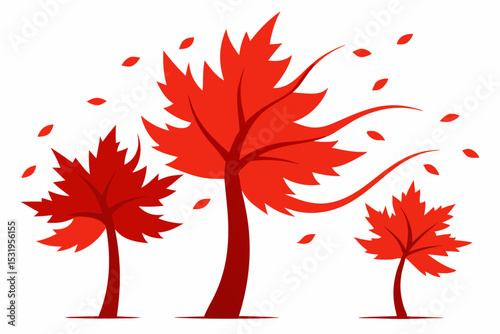 autumn maple tree