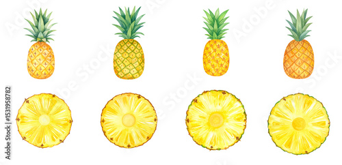 Illustration of pineapples and their vibrant yellow fruit halves.