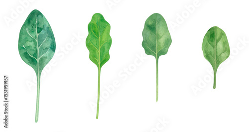 A collection of vibrant green leaves showcasing diverse shapes and sizes.
