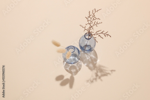 Two glass vases with dried flowers on a beige background with shadow from sunlight. Minimalistic aesthetic still life. Top view