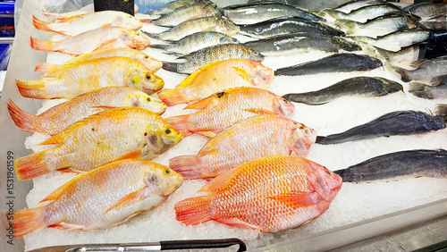 Fresh Seafood Display: A colorful array of fresh, raw fish are meticulously arranged on a bed of ice, showcasing a visual symphony of culinary delights, prepared for purchase.