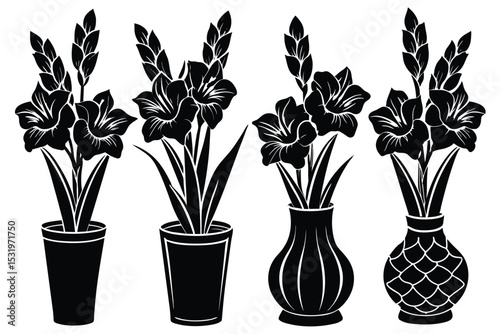 Elegant Black and White Gladiolus Flower Potted Arrangements Silhouette Illustrations