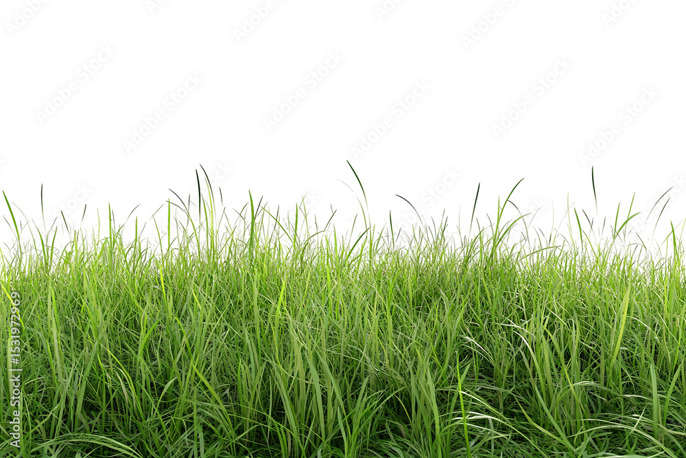Obraz premium Lush 3D green grass meadow — high-resolution PNG cutout on transparent background for realistic outdoor landscape and nature design