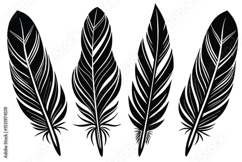 Elegant Black Feather Designs  Silhouette Illustrations for Design Projects