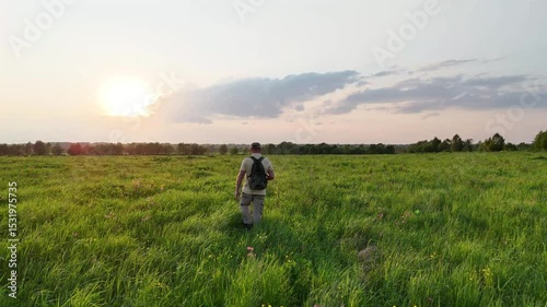 A man with a backpack walks through a summer field with sedge and wildflowers