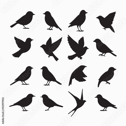 set of silhouettes of birds