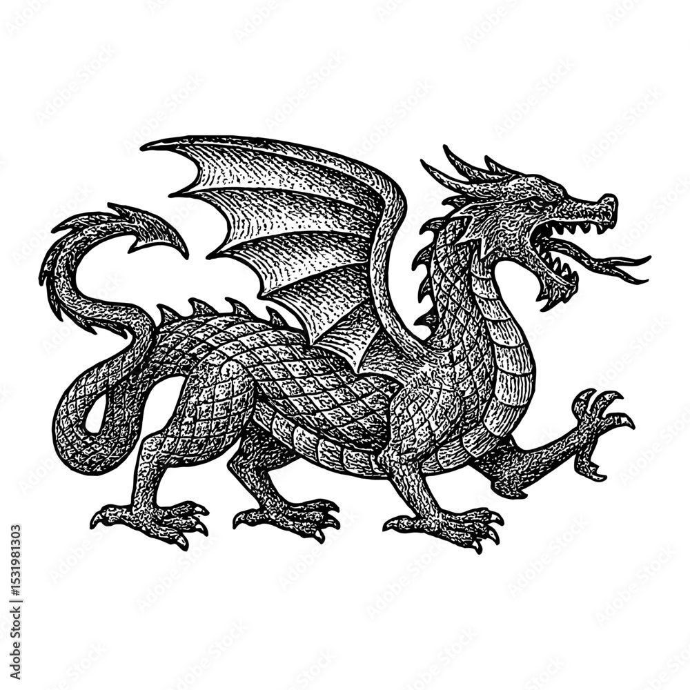 Obraz premium Dragon Engraving Standing with Wings Open Black and White Outline Line Art Drawing