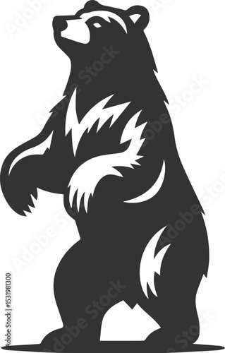 Big animal mammal vector of a bear silhouette