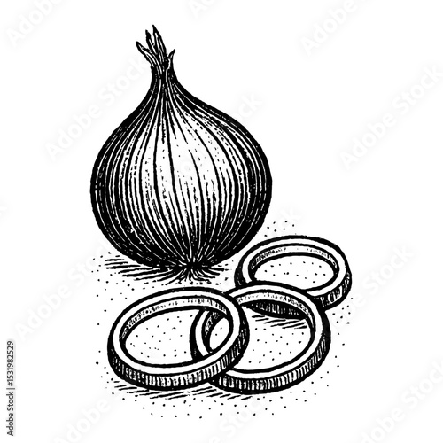 Onion and Onion Rings Black and White Outline Line Art Drawing Engraving Style Food Illustration