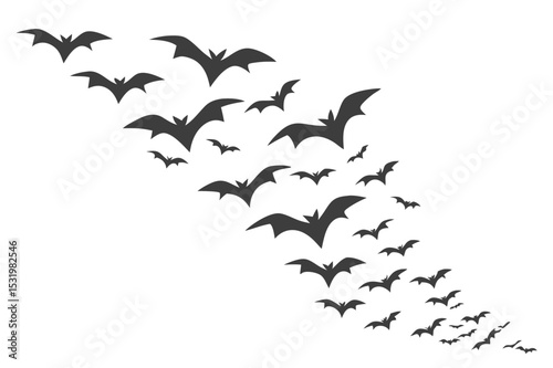 Detailed vector illustration of a bat