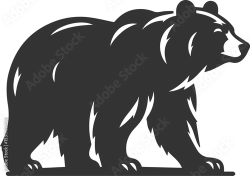 Big animal mammal vector of a bear silhouette