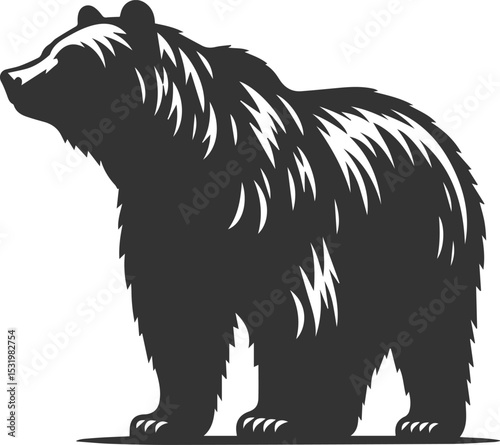Big animal mammal vector of a bear silhouette