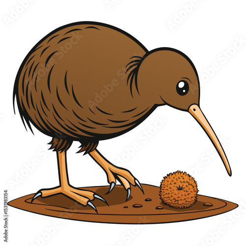 Kiwi bird foraging, its long beak touching the ground, searching for food.