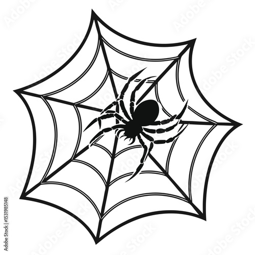 Detailed vector illustration of a spider